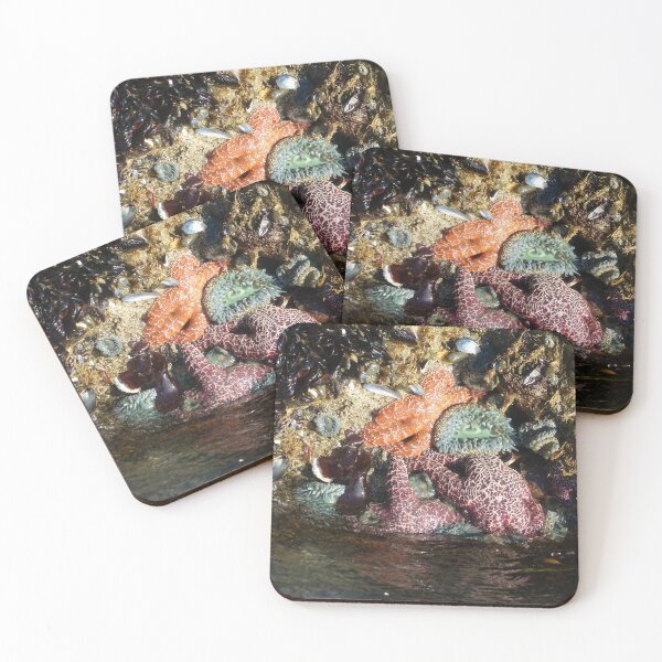 Item preview, Splendid Starfish  designed and sold by Animal-Photos.