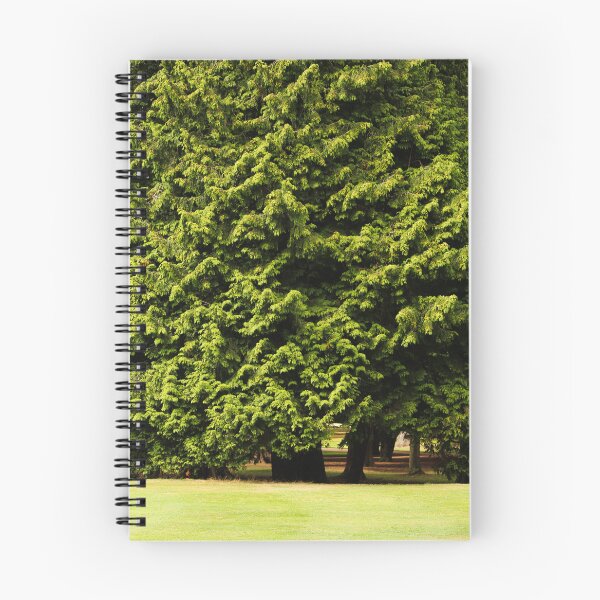 Item preview, Big Trees in the Park Vertical Nature Beauty designed and sold by eddiebarronshop.