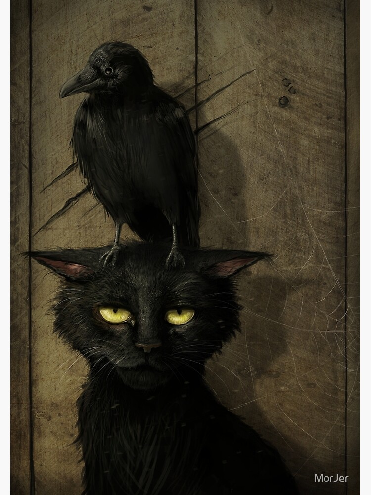 The Raven and the Cat by MorJer