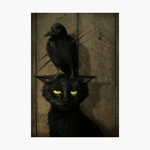 The Raven and the Cat Photographic Print