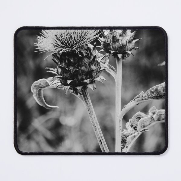 Item preview, Cardoon Flower bw Vertical Nature Beauty designed and sold by eddiebarronshop.