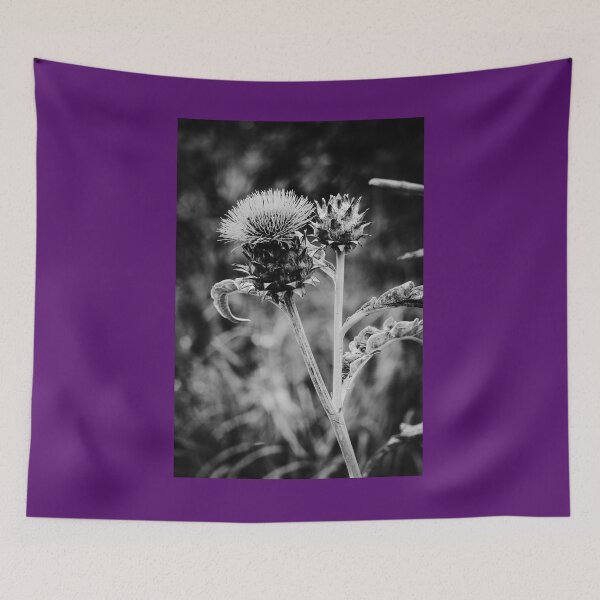 Item preview, Cardoon Flower bw Vertical Nature Beauty designed and sold by eddiebarronshop.