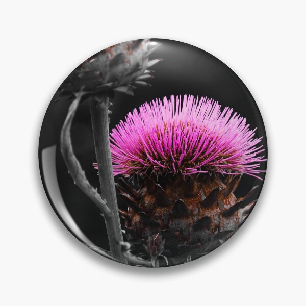 Item preview, Cardoon Flower Carmine Effects Vert Nature Beauty designed and sold by eddiebarronshop.