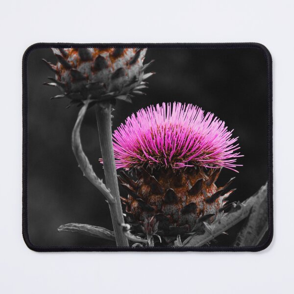 Item preview, Cardoon Flower Carmine Effects Vert Nature Beauty designed and sold by eddiebarronshop.