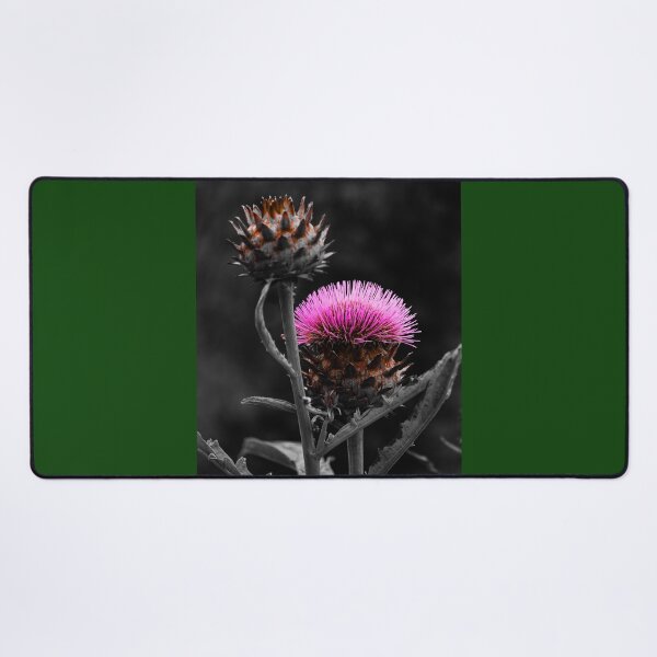 Item preview, Cardoon Flower Carmine Effects Vert Nature Beauty designed and sold by eddiebarronshop.