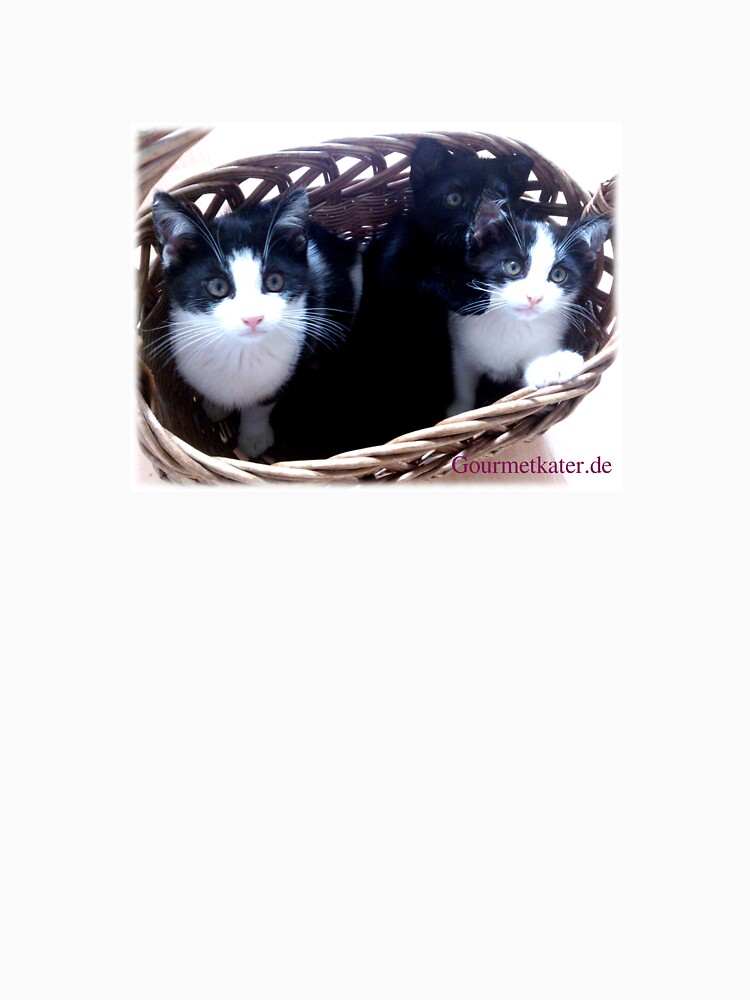 3 Katzen im Korb! von Gourmetkater