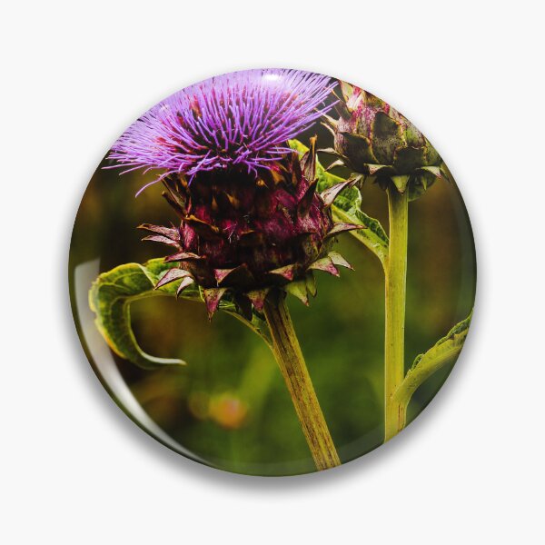 Item preview, Cardoon Flower Vert Nature Beauty designed and sold by eddiebarronshop.