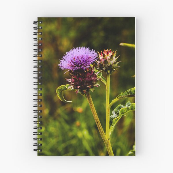 Item preview, Cardoon Flower Vert Nature Beauty designed and sold by eddiebarronshop.