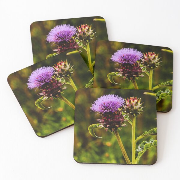 Item preview, Cardoon Flower Vert Nature Beauty designed and sold by eddiebarronshop.