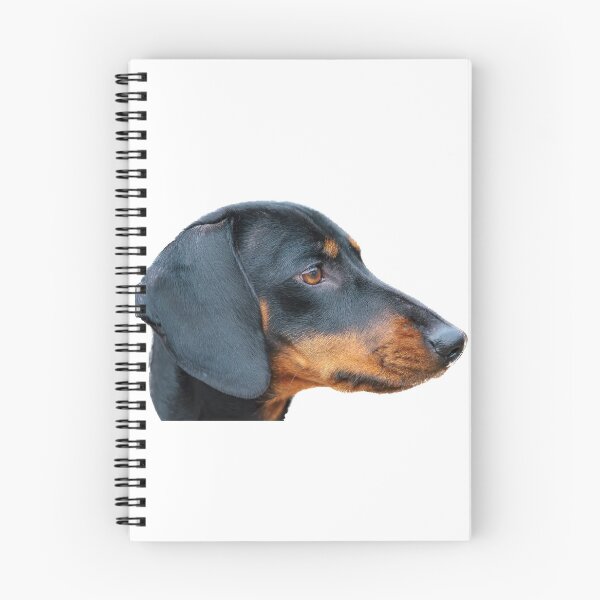 Artikelvorschau, Dachsund entworfen und verkauft von Gary Chadbond Photography.