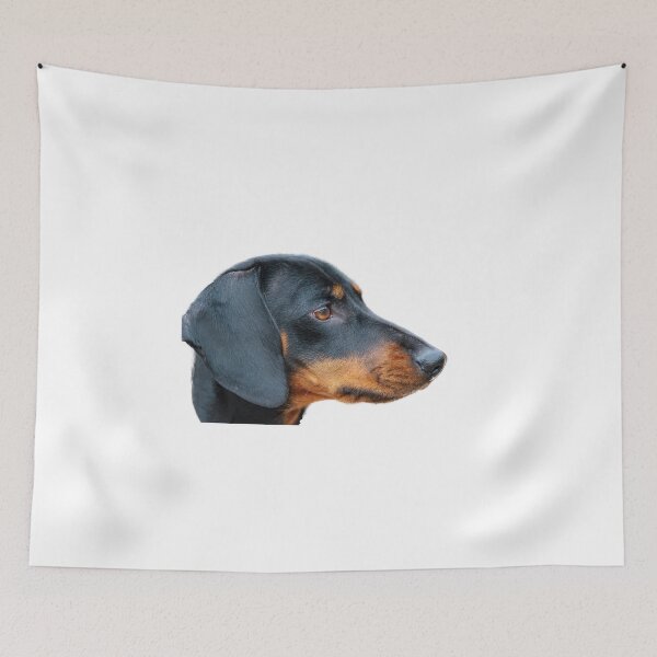 Item preview, Dachsund designed and sold by Gary Chadbond Photography.