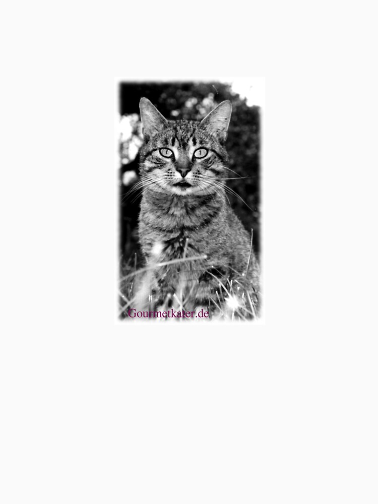 Tiger Tom von Gourmetkater