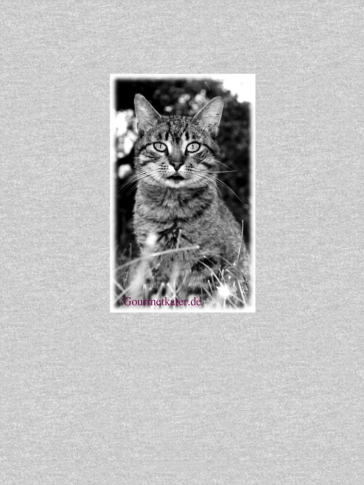 Tiger Tom von Gourmetkater