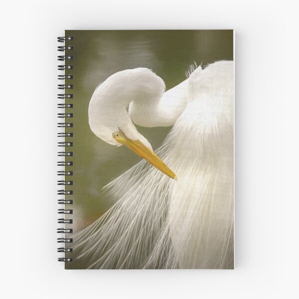 Item preview, Feathers designed and sold by Susan Rydberg.