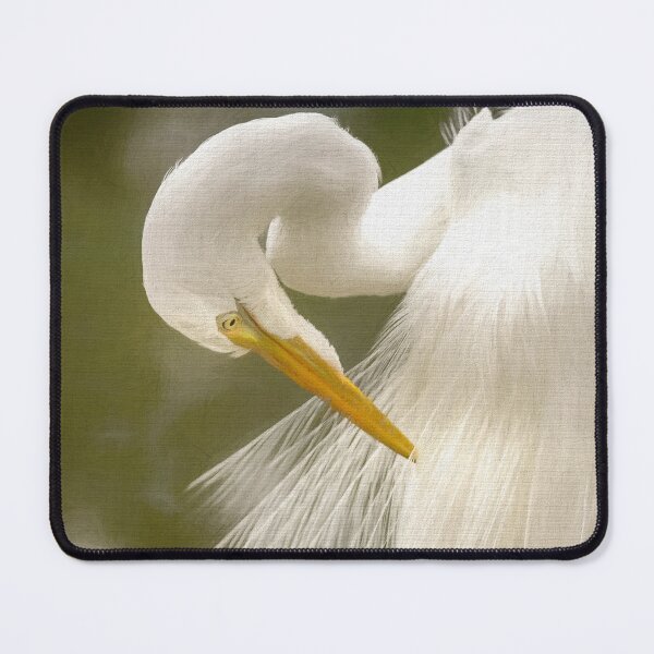 Item preview, Feathers designed and sold by Susan Rydberg.