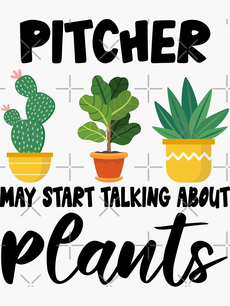 "pitcher May Start Talking About Plants, pitcher Gardening PLants
