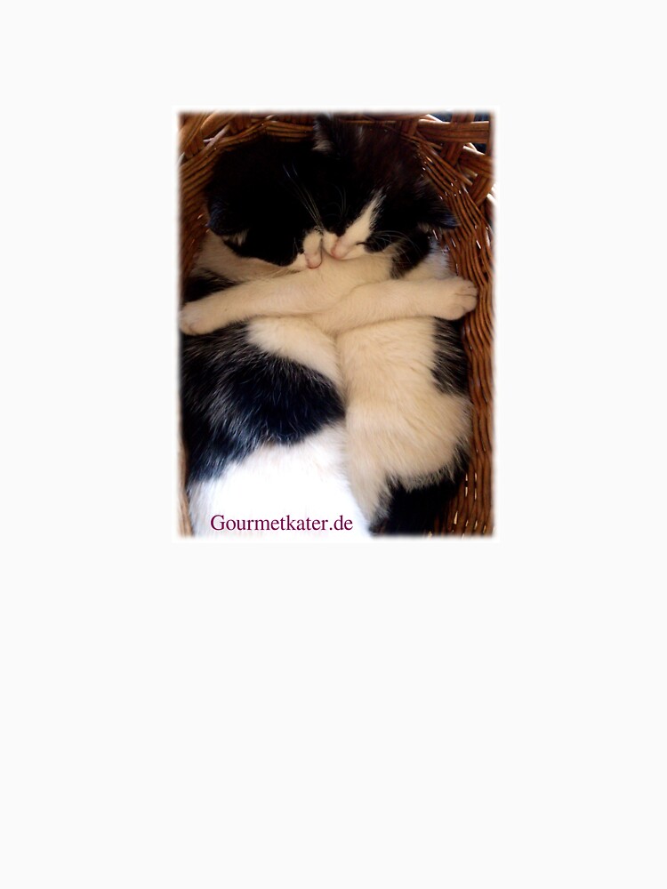 Umarmung von Gourmetkater