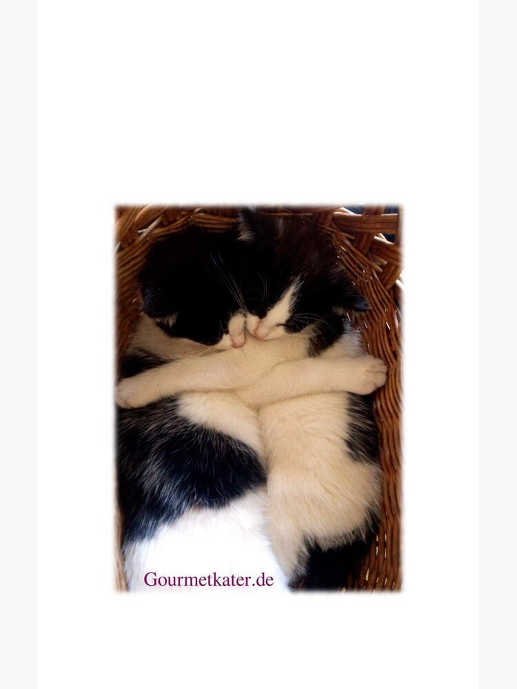 Umarmung von Gourmetkater