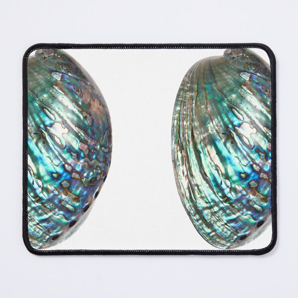 Item preview, Polished Abalone Shell designed and sold by CaptJohnny.