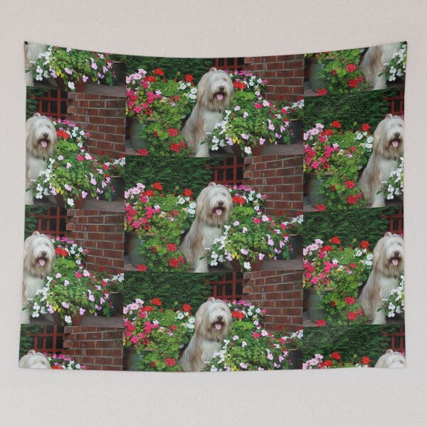 Item preview, Skye The Bearded Collie Dog designed and sold by Paul Thompson Photography.