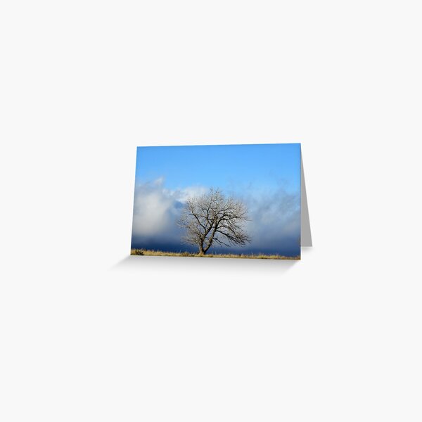 Western lone tree Greeting Card