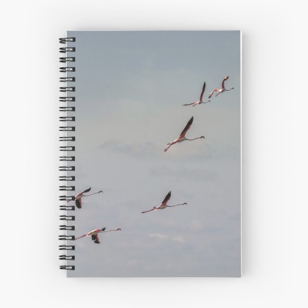 Item preview, Pink Flamingos designed and sold by cmphotographs.