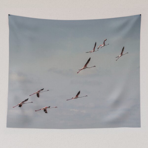 Item preview, Pink Flamingos designed and sold by cmphotographs.