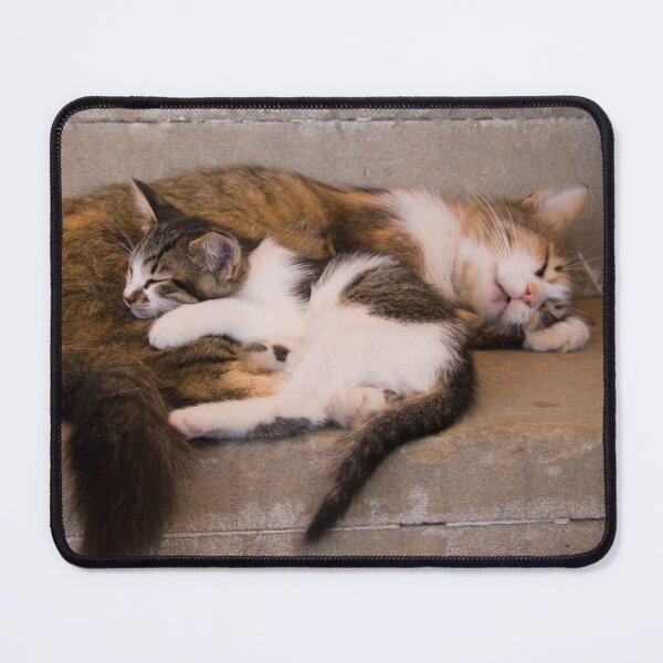 Item preview, Wake Us Up When Dinner Is Ready designed and sold by Paul Thompson Photography.