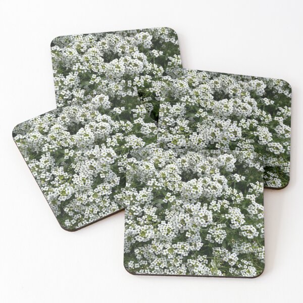 Item preview, White Alyssum designed and sold by Warm Fuzzies By Amanda.