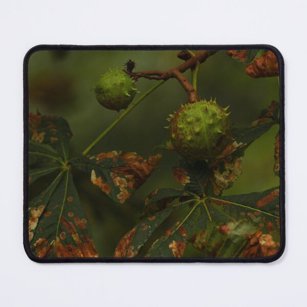 Item preview, Horse Chestnut Tree Vertical Nature Beauty designed and sold by eddiebarronshop.