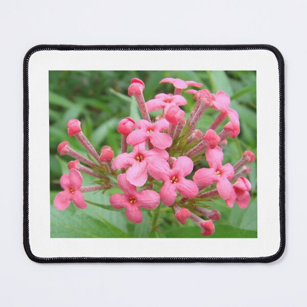 Item preview, Into the forest to take pictures of beautiful flowers to art no.22 designed and sold by greengoodnich.
