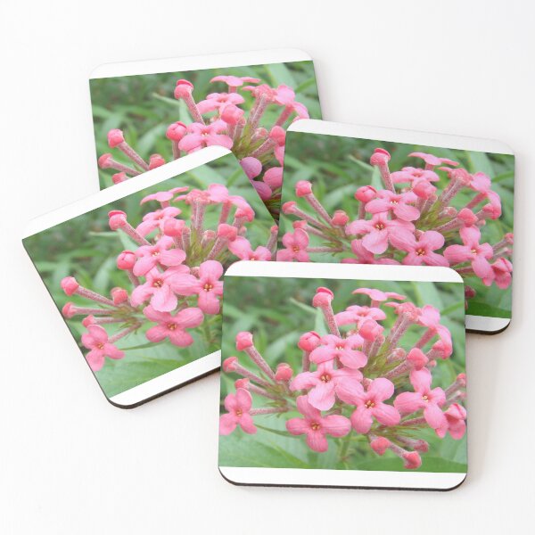 Item preview, Into the forest to take pictures of beautiful flowers to art no.22 designed and sold by greengoodnich.