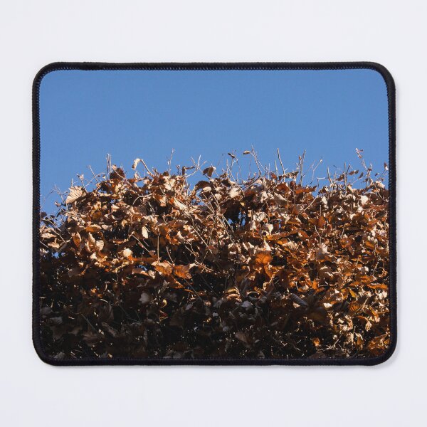 Item preview, Hedge and Sky / Hecke und Himmel designed and sold by Gabriele Maurus.