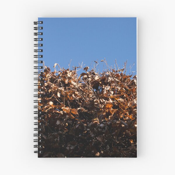 Artikelvorschau, Hecke und Himmel / Hecke und Himmel entworfen und verkauft von Gabriele Maurus.