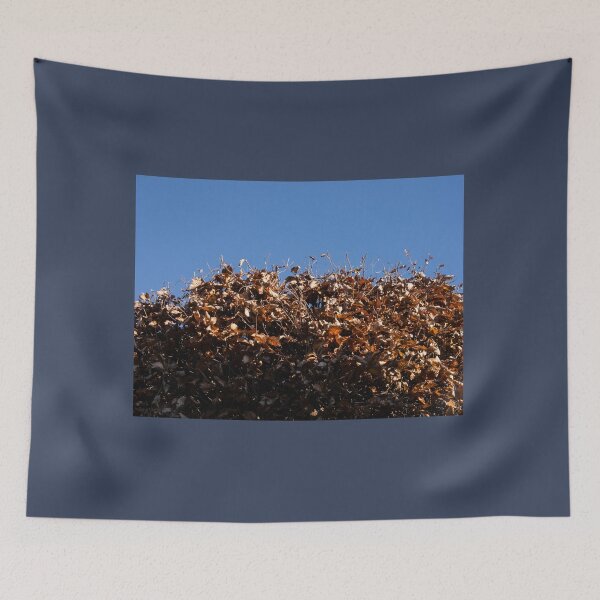 Item preview, Hedge and Sky / Hecke und Himmel designed and sold by Gabriele Maurus.
