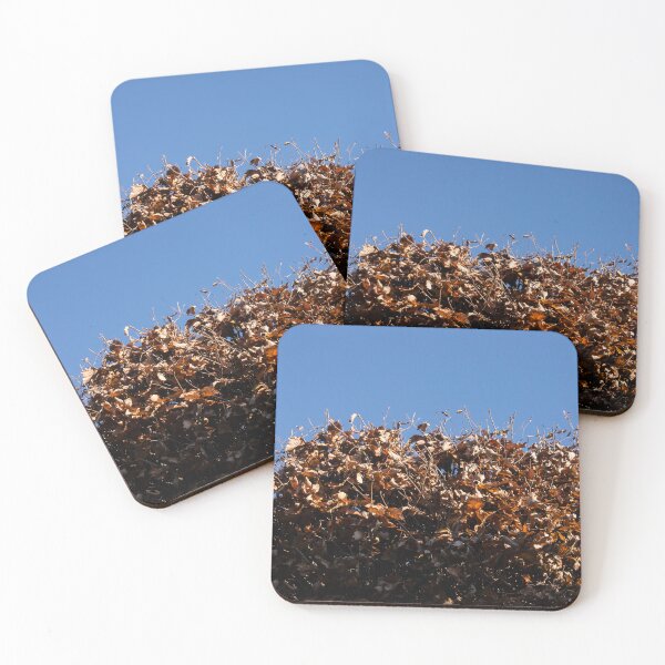 Item preview, Hedge and Sky / Hecke und Himmel designed and sold by Gabriele Maurus.