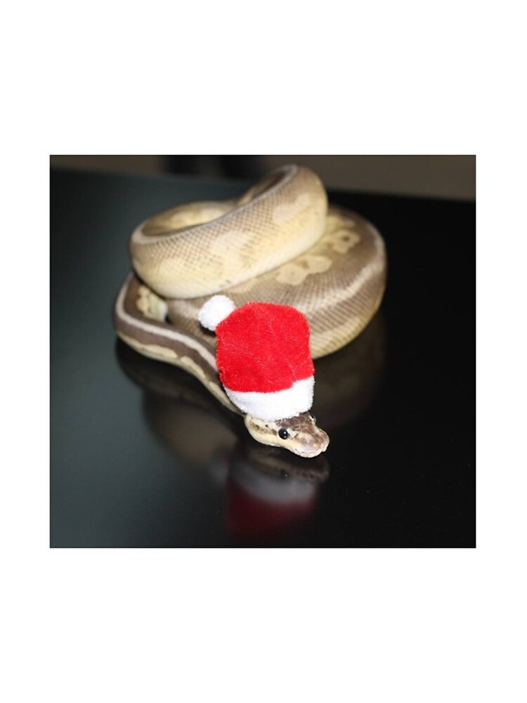 Thumbnail 4 of 4, iPhone Case, Christmas Royal Python designed and sold by PoggleCraft.