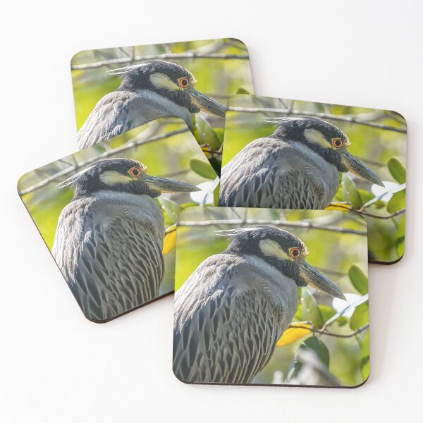 Item preview, Yellow-crowned Night-Heron  designed and sold by Susan Rydberg.