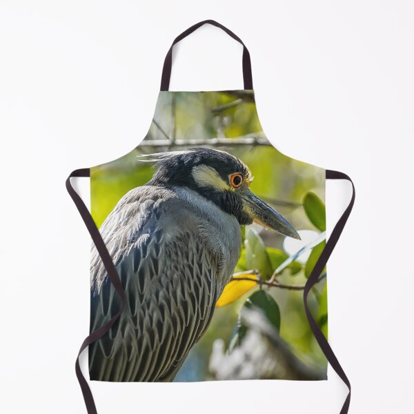 Item preview, Yellow-crowned Night-Heron  designed and sold by Susan Rydberg.