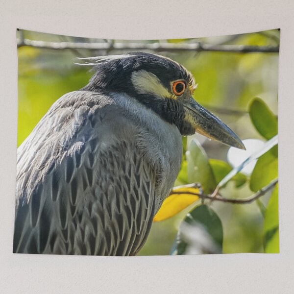 Item preview, Yellow-crowned Night-Heron  designed and sold by Susan Rydberg.