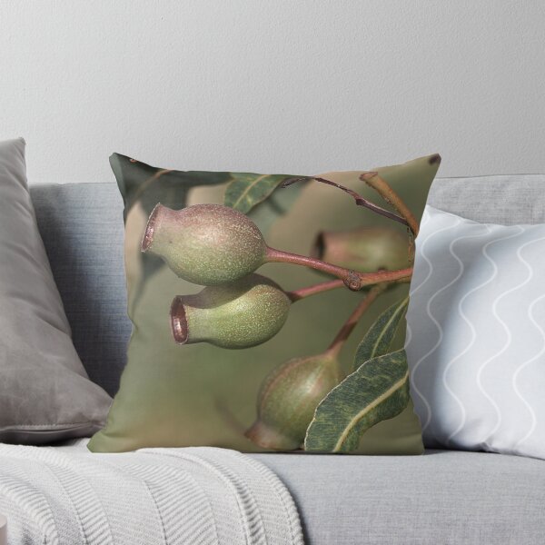 Item preview, Gumnuts designed and sold by Joy Watson - Natural Light Photography .