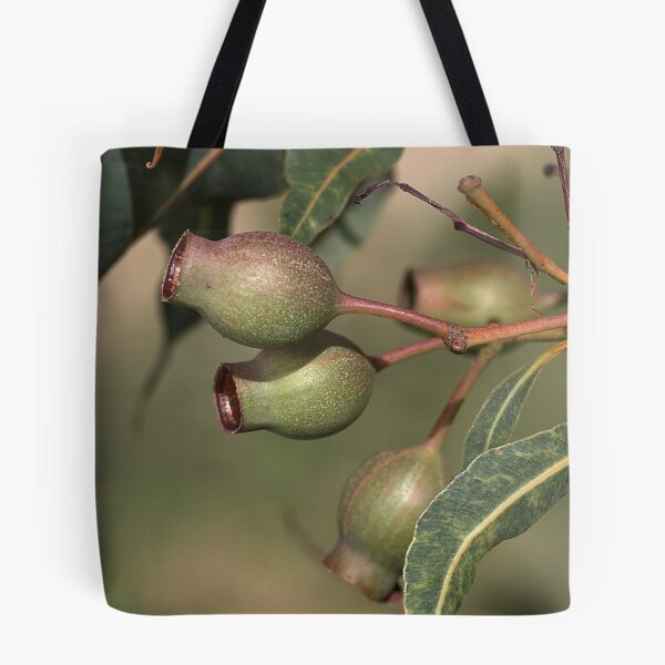 Item preview, Gumnuts designed and sold by Joy Watson - Natural Light Photography .