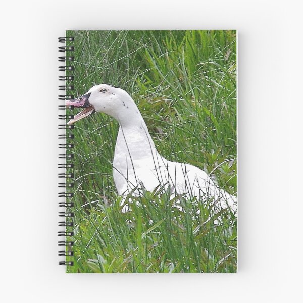Item preview, Trentham Duck, Australia designed and sold by lezvee.