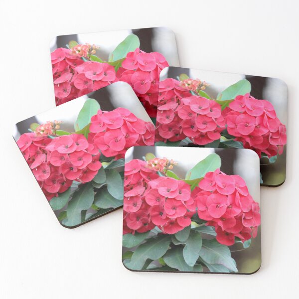 Item preview, Euphorbia Milii Flowers designed and sold by VgBingi.