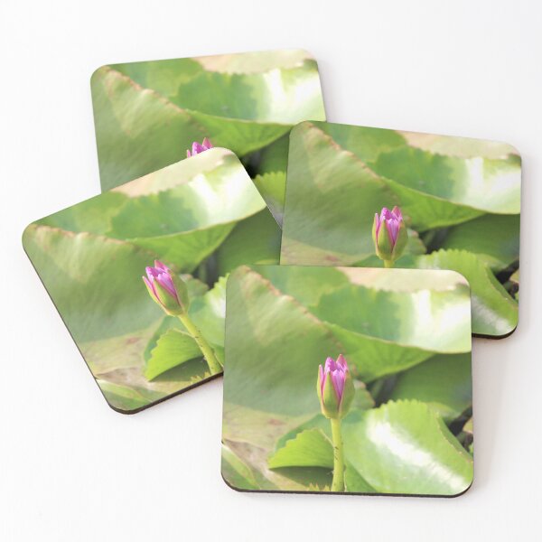 Item preview, Water Lilies are Blooming in the Pond. designed and sold by VgBingi.