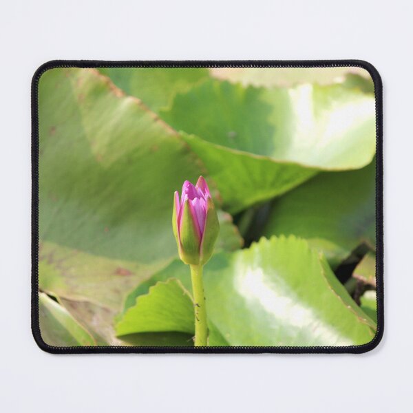 Item preview, Water Lilies are Blooming in the Pond. designed and sold by VgBingi.