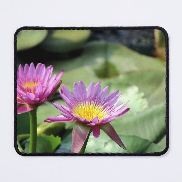 Item preview, Water Lilies are Blooming in the Pond. designed and sold by VgBingi.