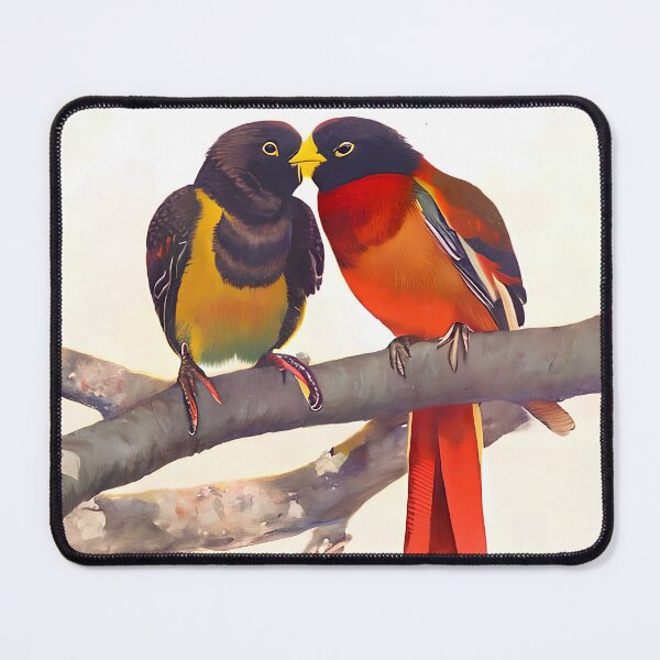 Item preview, Colorful Loving Birds, Cute Birds Love Couple, Valentines Day Gift designed and sold by TMelonShop.