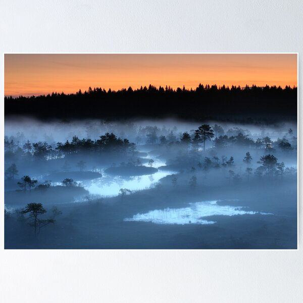 Midsummer night in the bog Poster
