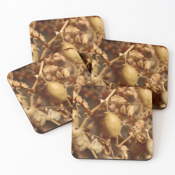 Item preview, Dry Chickpea Plant. designed and sold by VgBingi.